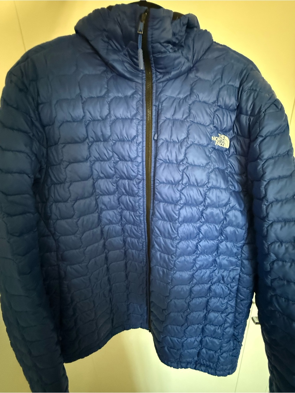 The North Face Men’s Insulated Blue Quilted Jacket